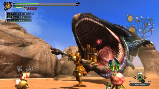 Monster Hunter 3 Ultimate (2)