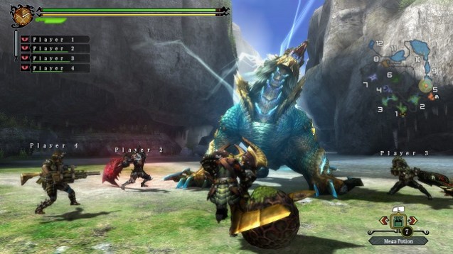 Monster Hunter 3 Ultimate (6)