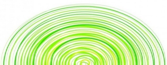 Microsoft Special (1)