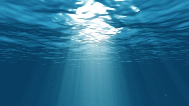 Under the Surface (1)