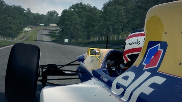 F1 2013 (2)