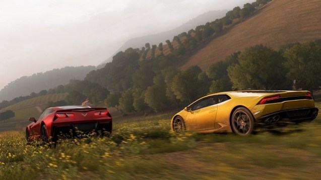 Forza Horizon 2 (2)