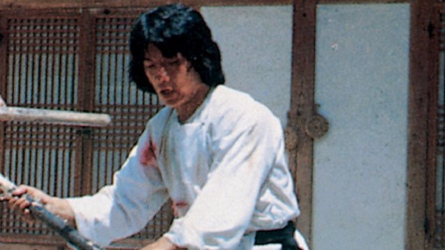 Die Unbesiegbaren der Shaolin (3)