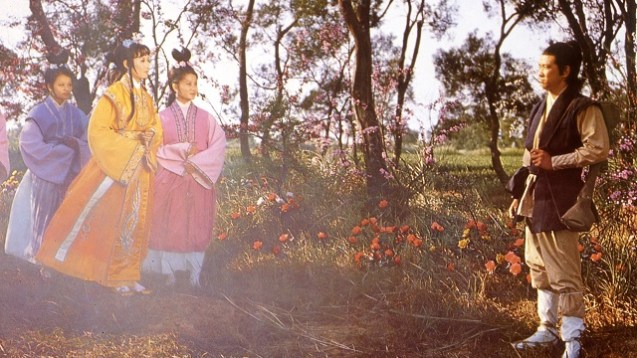 Tiger der Todesarena (2)