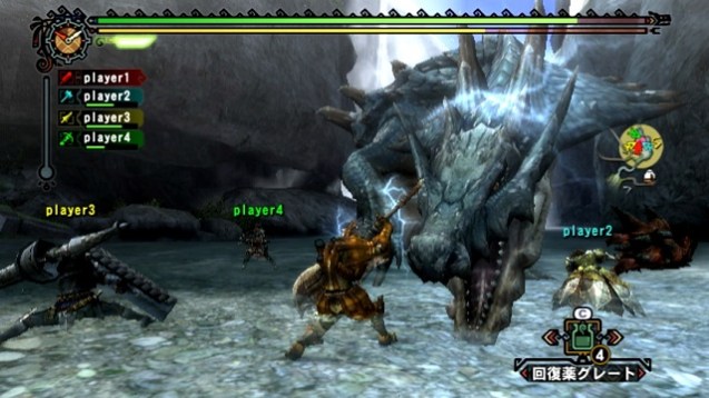 Faszination Monster Hunter (5)