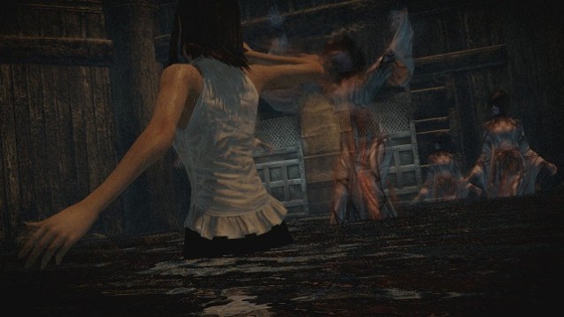 Project Zero - Priesterin des schwarzen Wassers (5)