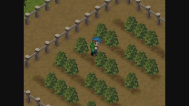 harvest-moon-64-3